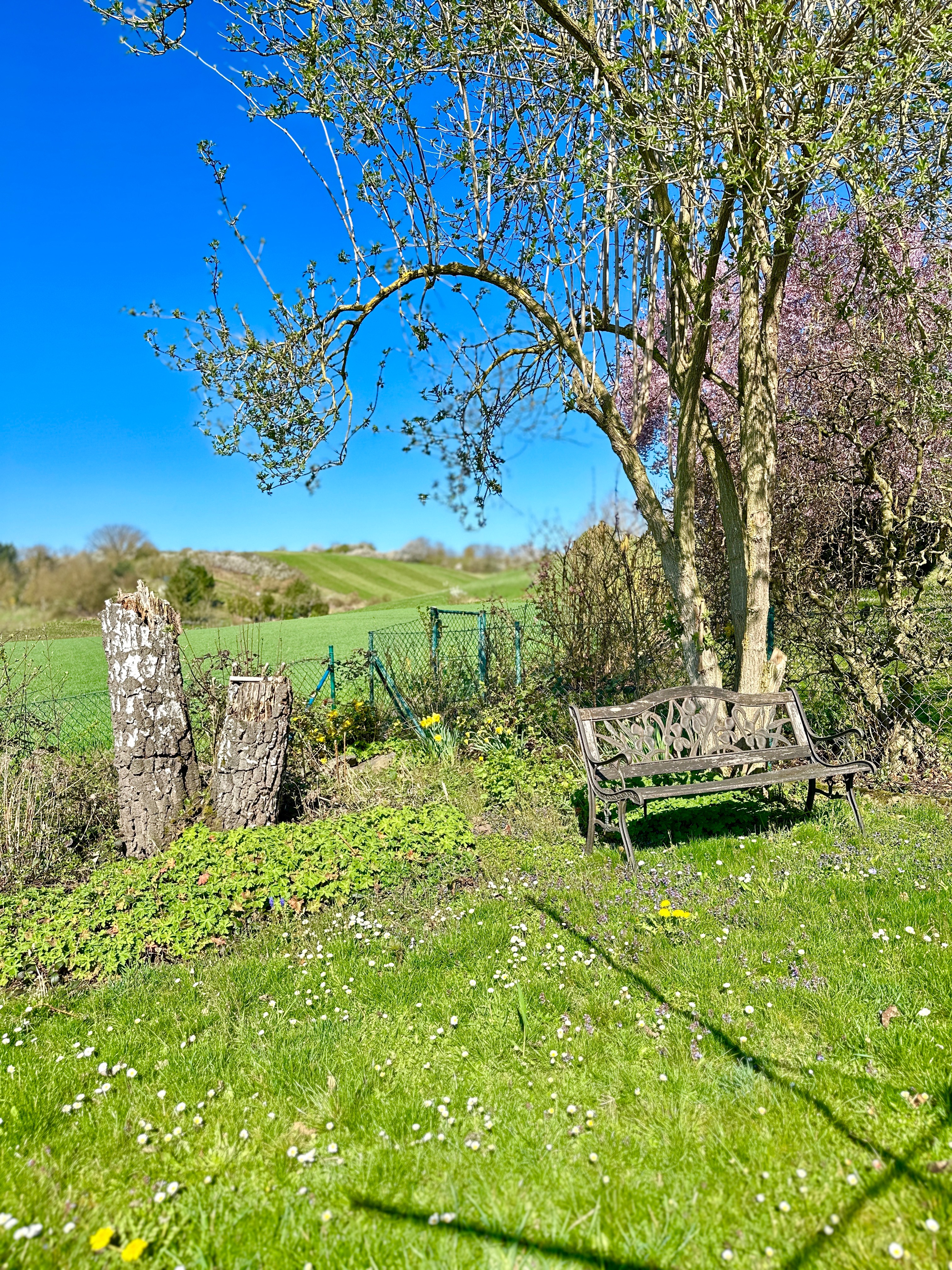 Natur pur - Weitblick inklusive! Großzügiges Wohnen in herrlicher Ortsrandlage mit Blick ins Grüne! bei Degenhardt Immobilien