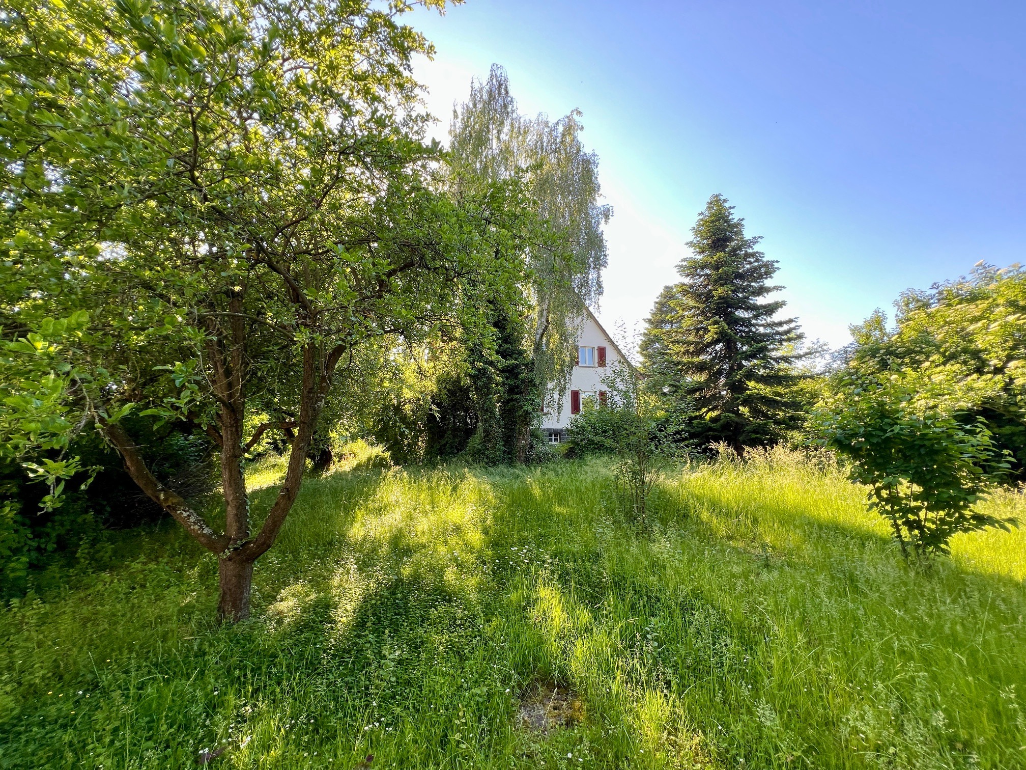 Baugrundstück für Ihr neues Familiendomizil in Groß-Bieberau bei Degenhardt Immobilien